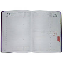 Щоденник датований 2020 BRISK OFFICE SARIF Стандарт А5 (14,2х20,3) бордовий, фото 3