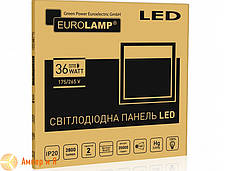 Світлодіодний світильник 595*595 (панель) EUROLAMP LED 36 W 4000 K, фото 2