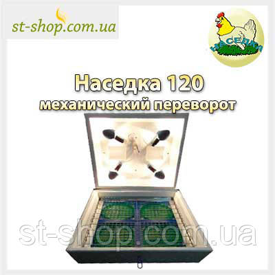 Інкубатор "Насидка 120" механічний переворот (цифровий терморегулятор)