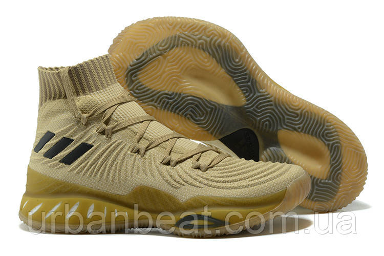 Чоловічі баскетбольні кросівки Адідас Crazy Explosive 2017 Ptimeknit