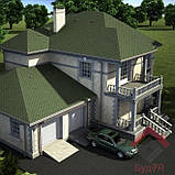 Бітумна черепиця мозаїка Альпійський луг, фото 9