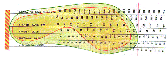 Визначення розміру взуття