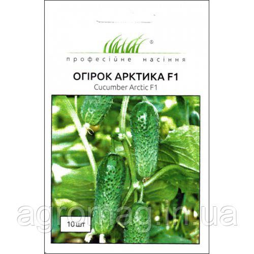 Огірок Арктика F1 10шт