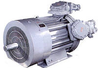 ВАОК355S8 110кВт 750об/мин (электродвигатель ВАОК 110/750)