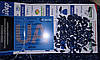 Насіння соняшника НС Таурус під (Євро Лайтинг), фото 5