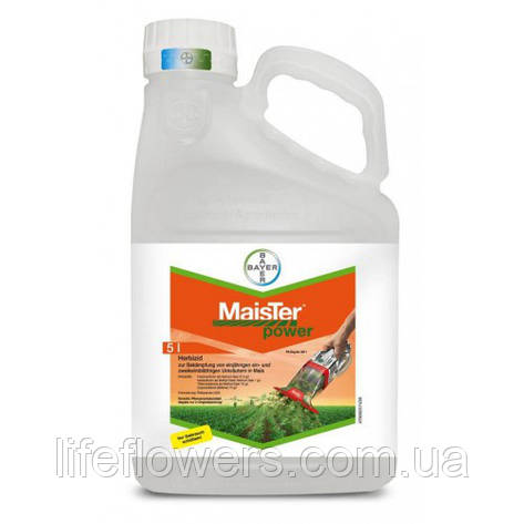 Гербіцид Майстер пауер 5л, фото 2
