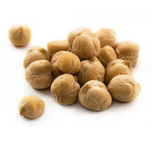 Нут великий