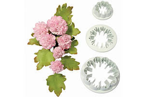 Вирубка Гвоздика