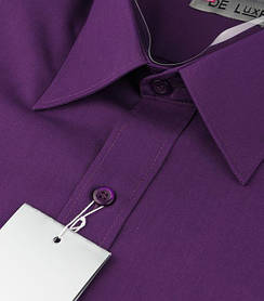 Однотонні Сорочки з довгим рукавом