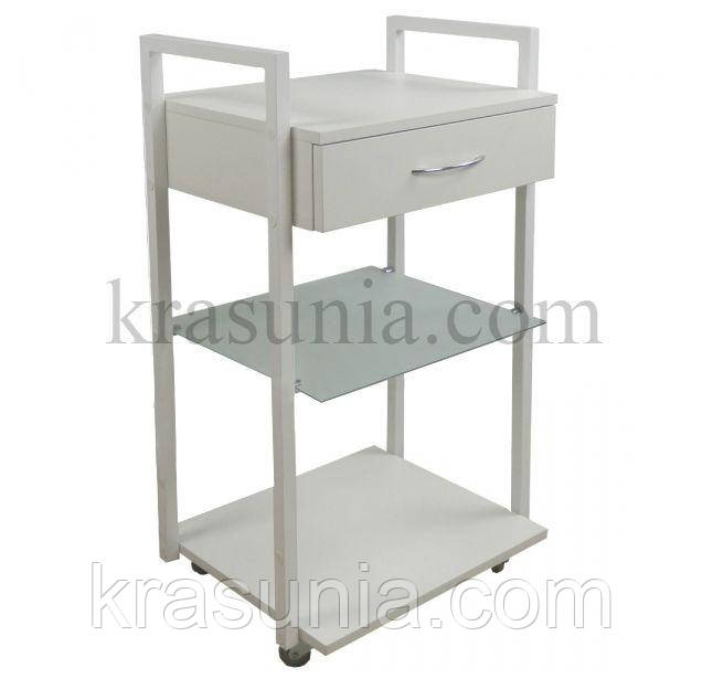 Косметологічна візок 109V