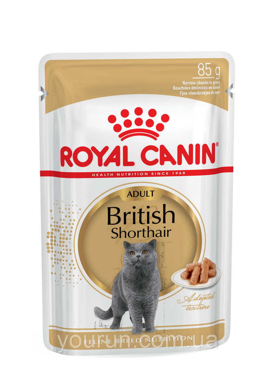 Royal Canin British Shorthair Adult (шматочки в соусі) для британських короткошерстих 85гр