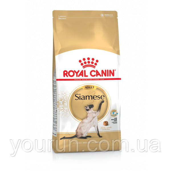 Royal Canin (Роял Канін) Siamese Adult 38 - для сіамських кішок старше 12 місяців, 10кг.