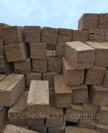 Ракушник Ніколаєв, гребінь ракушник Миколаїв, фото 1