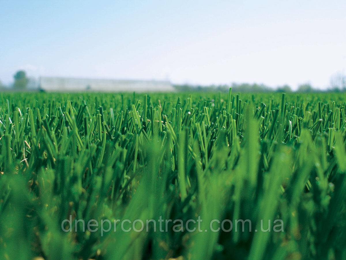 Искусственная трава MF C 40 P+ для футбола - фото 4 - id-p648654253