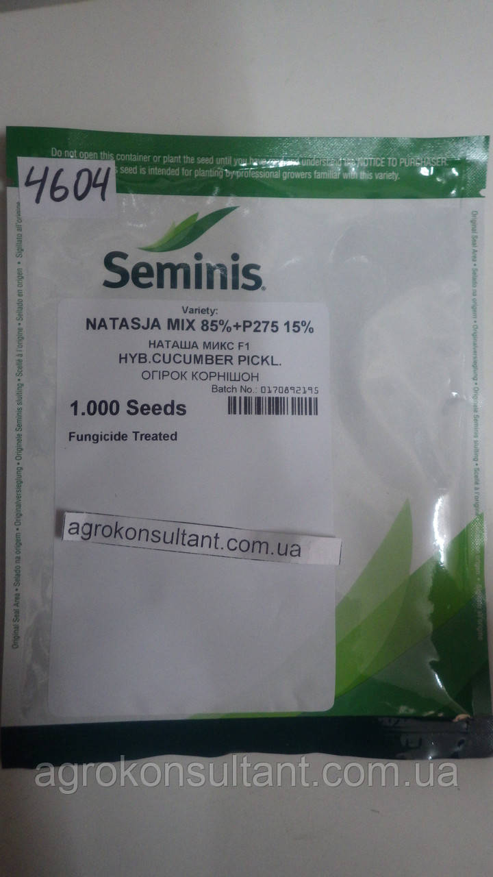 Насіння огірка Наташа F1 (Seminis), 1 000 насінин — ультраранній гібрид (40-45 днів), бджолозапильний
