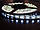 Світлодіодна стрічка SMD 3528 120 LED/5 IP20, фото 3