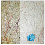 Лак ДЕЛЬФІН К кремнійорганічний надміцний для каменю,бетону, цегли, клінкера, ФЕМ, 10л, фото 4