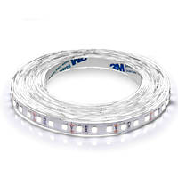 Світлодіодна стрічка BIOM Professional 2835-120 білий, негерметична, 1 м