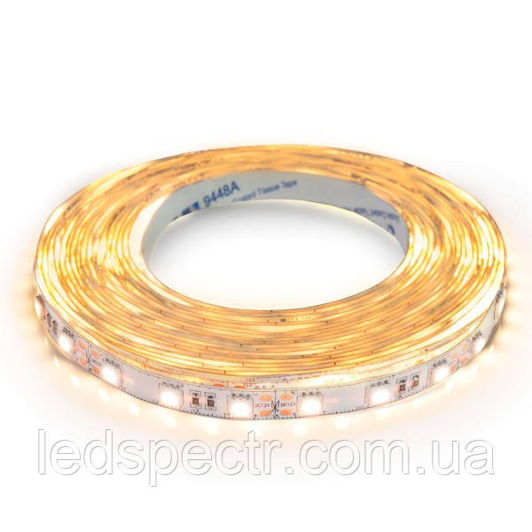 Світлодіодна стрічка BIOM Professional 5050-60 теплий білий, негерметична, 1 м, фото 1