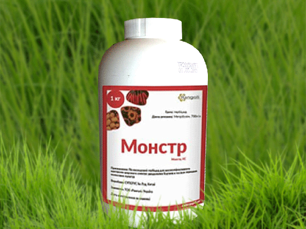 Гербіцид Монстр (гербіцид Зенкор), 1кг, для сої, картоплі, томатів та люцерни, фото 1