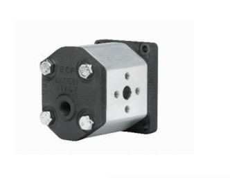 Двонаправлені гідромотори Marzocchi GHM 1/ Bi-directional GHM1 motors, фото 1