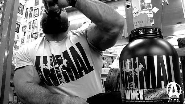 Протеїн Universal Nutrition Animal Whey 1814 г, фото 3