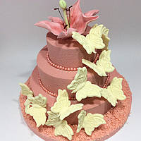 Торт Бабочки 16