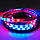 Піксельна світлодіодна стрічка "Digital RGB" 5050 60 LED/m, RGB RW 1LED IP65 WS2812 PIXEL STRIP, фото 5