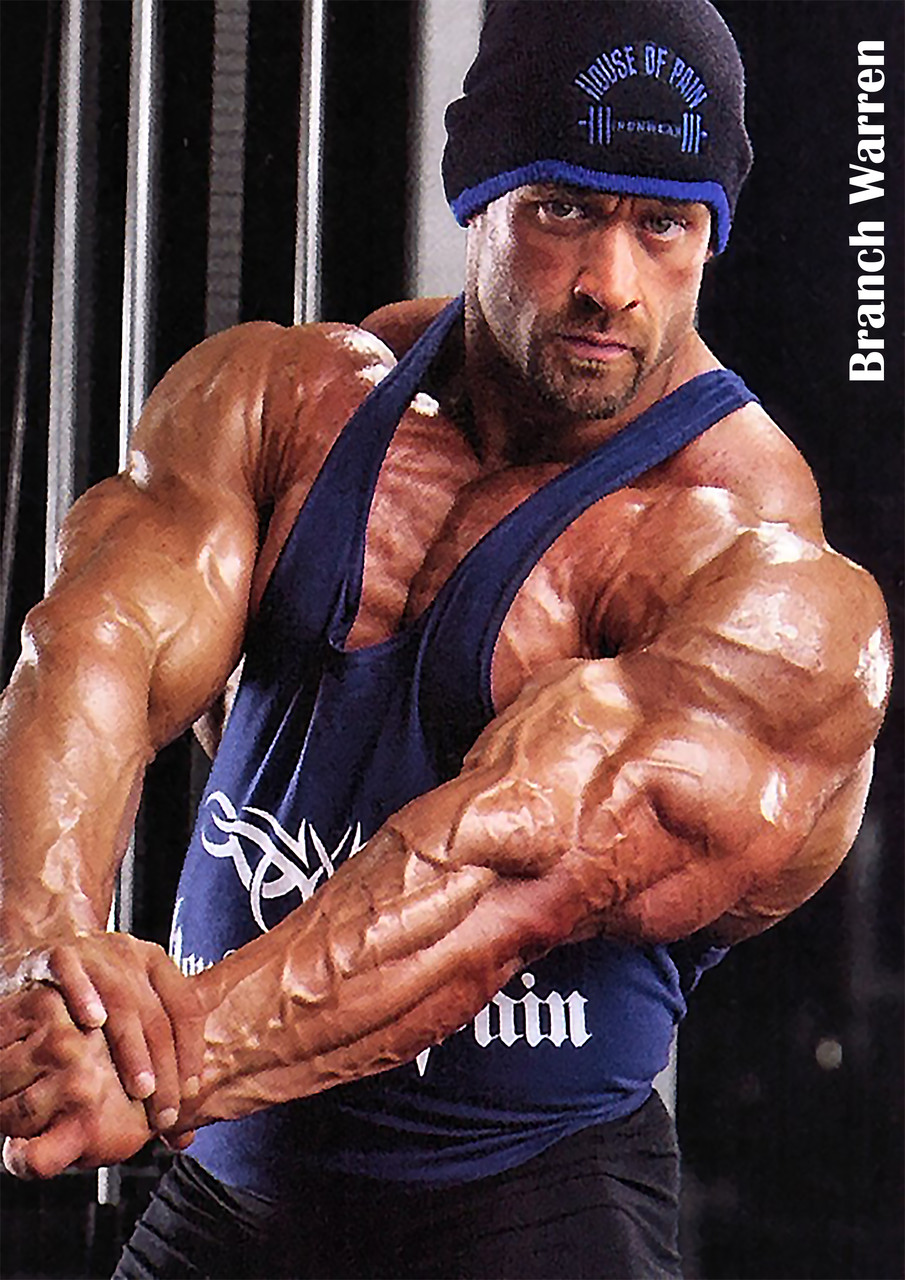 Плакат А3 Бренч Уоррен 001, фото 1