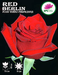 Троянда чайно-гібридна Red Berlin