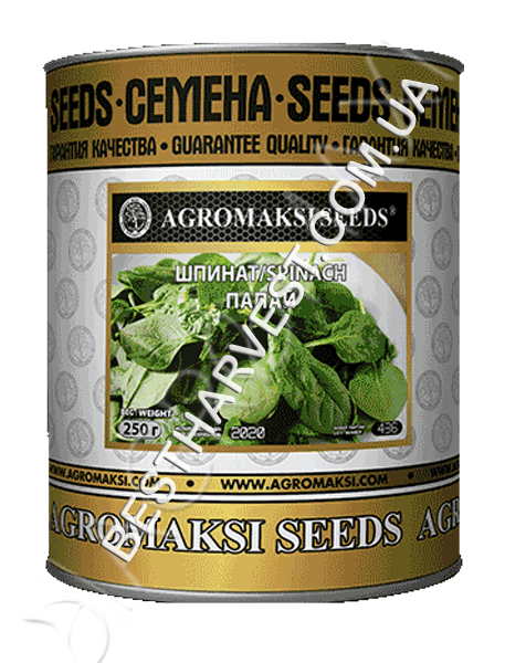 Семена шпината «Папай» 250 г, инкрустированные (Агромакси) - фото 1 - id-p650193879