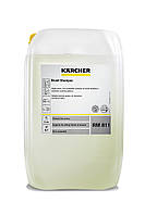 RM 811 ASF,  20 L