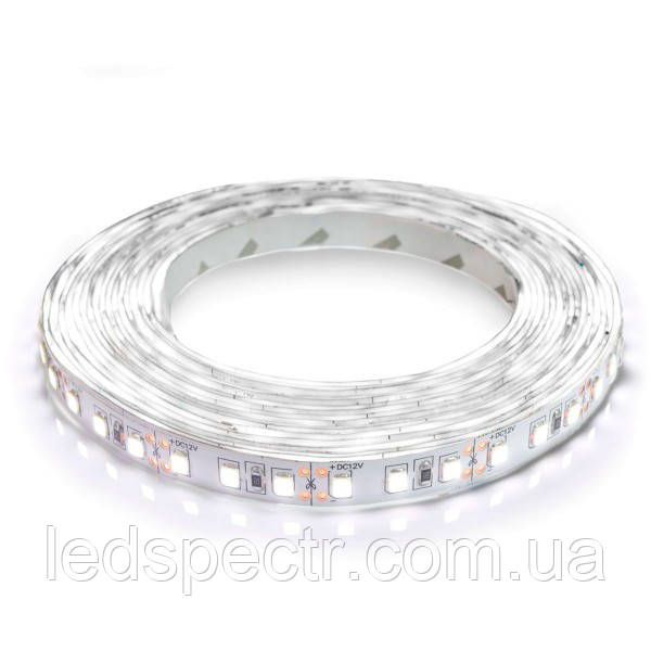 Світлодіодна стрічка LED Biom 2835-120 IP20 холодний білий, негерметична, 1 м