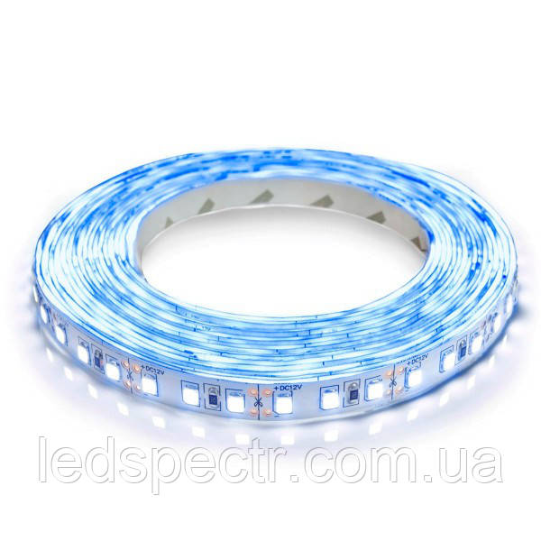 Світлодіодна стрічка LED Biom 2835-120 IP20 синій колір, негерметична, 1 м