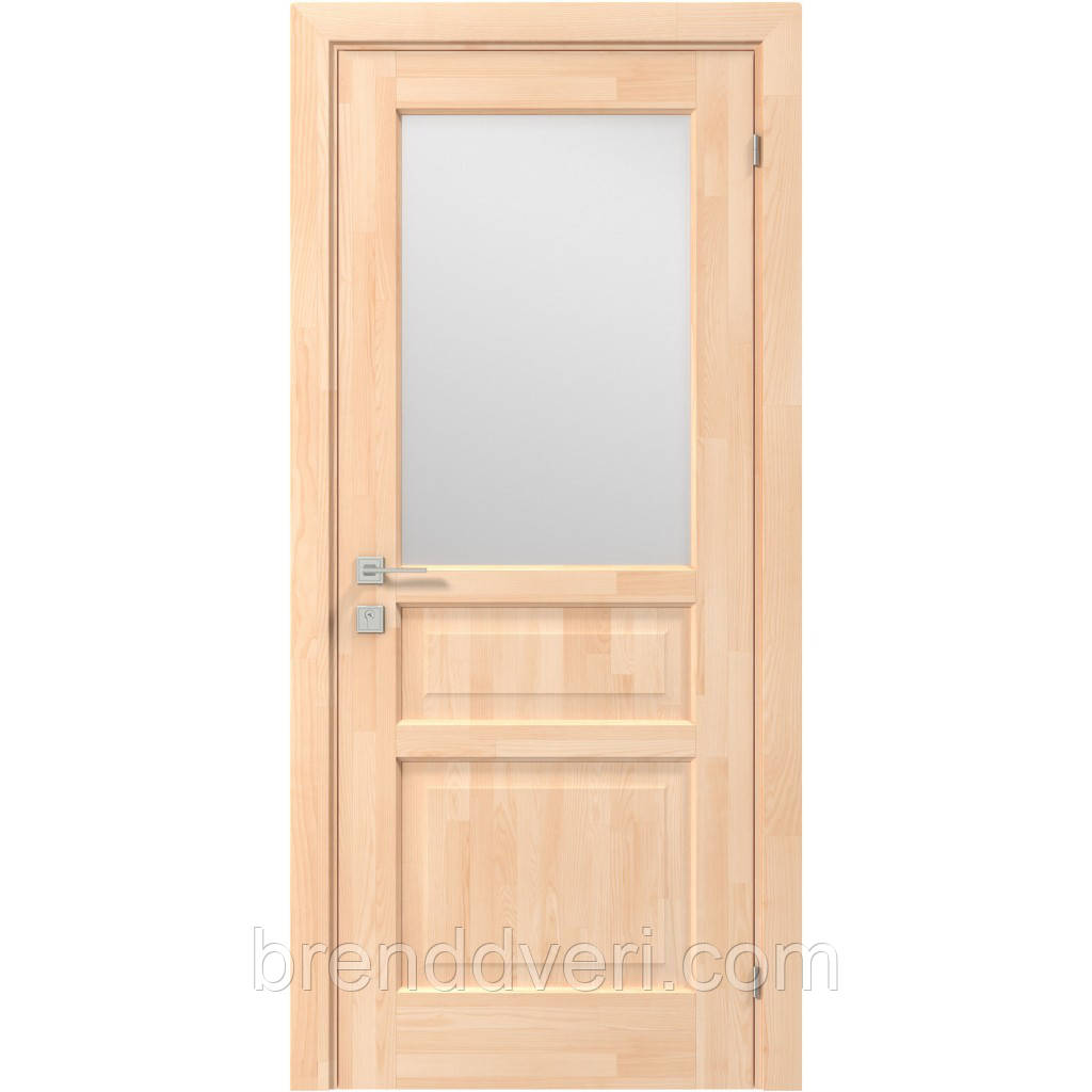 Двері Родос Модель Praktic зі склом, фото 1