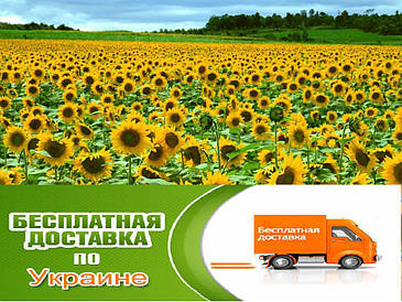 Насіння соняшнику «Орфей»