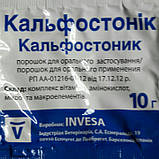 Кальфостонік, 10 г, фото 3