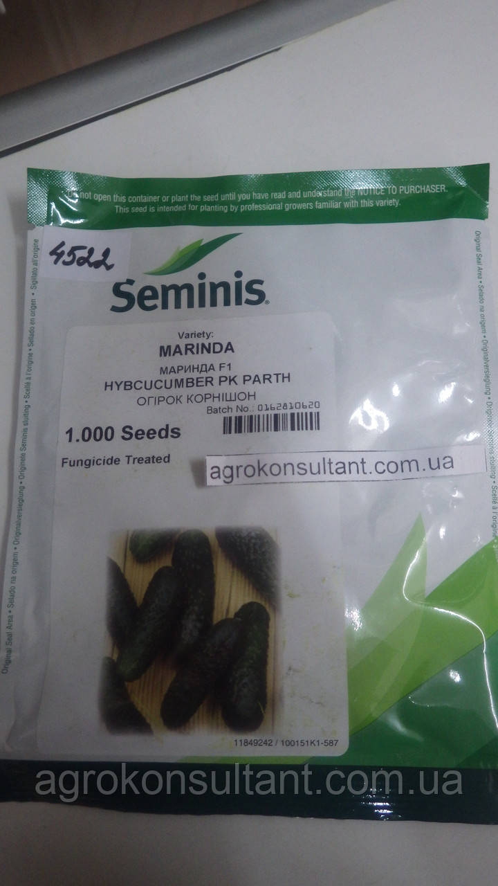 Насіння огірка Маринда F1 (Seminis), 1 000 насіння — партенокарпик, ультраранній гібрид (40-45 днів), корнішон