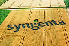 Syngenta