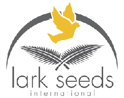 Насіння цукрової кукурудзи Lark Seeds