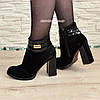 Черевики жіночі замшеві на стійкому каблуці, фото 3