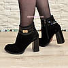 Черевики жіночі замшеві на стійкому каблуці, фото 4