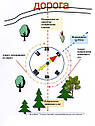 Туристичний компас, подарунок туристам і рибалці, фото 2