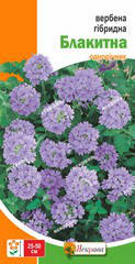 Вербена гібридна Блакитна 0,1 г, насіння Яскрава, фото 2