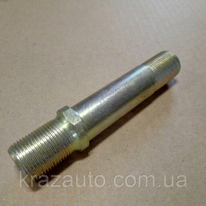 Порно оның басында тұр