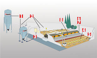 Обладнання для батьківського стада бройлерів та несучок
