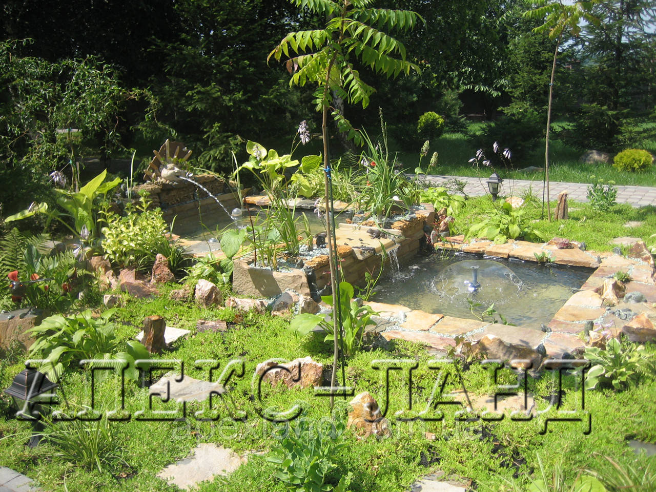 Будівництво декоративних водойм. Ціна з урахуванням матеріалів і обладнання:, фото 1