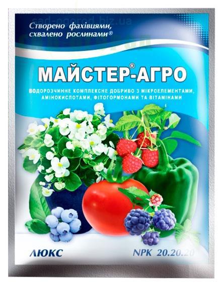 Добриво для рослин Mастер-Агро люкс 25 г, фото 1