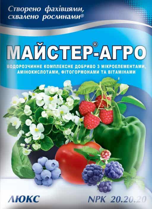 Добриво для рослин Mастер-Агро люкс 100 г, фото 1
