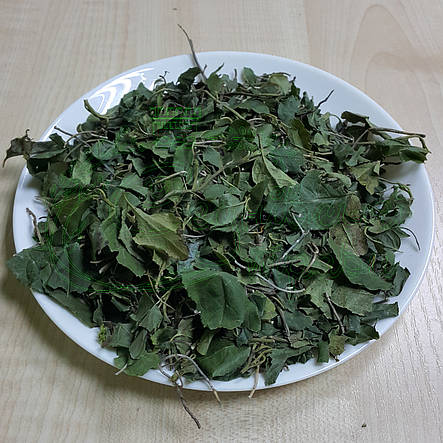 Ортилія однобока 50г, фото 3